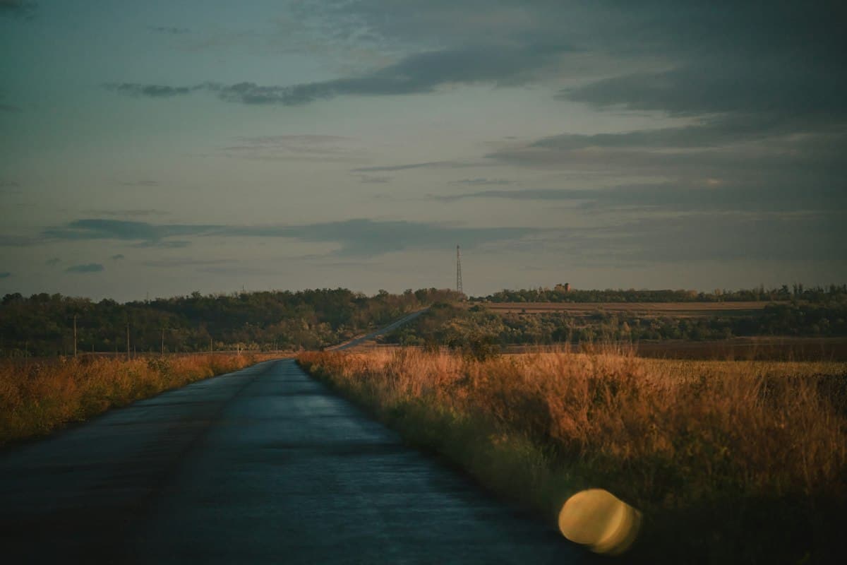 A lonely road through dry grass at dusk